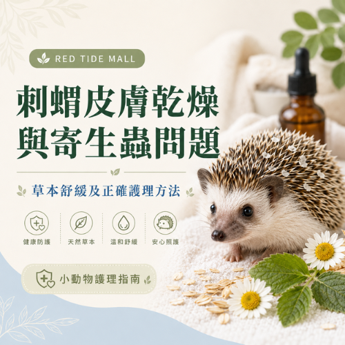  刺蝟皮膚乾燥與寄生蟲問題的草本解決方案        