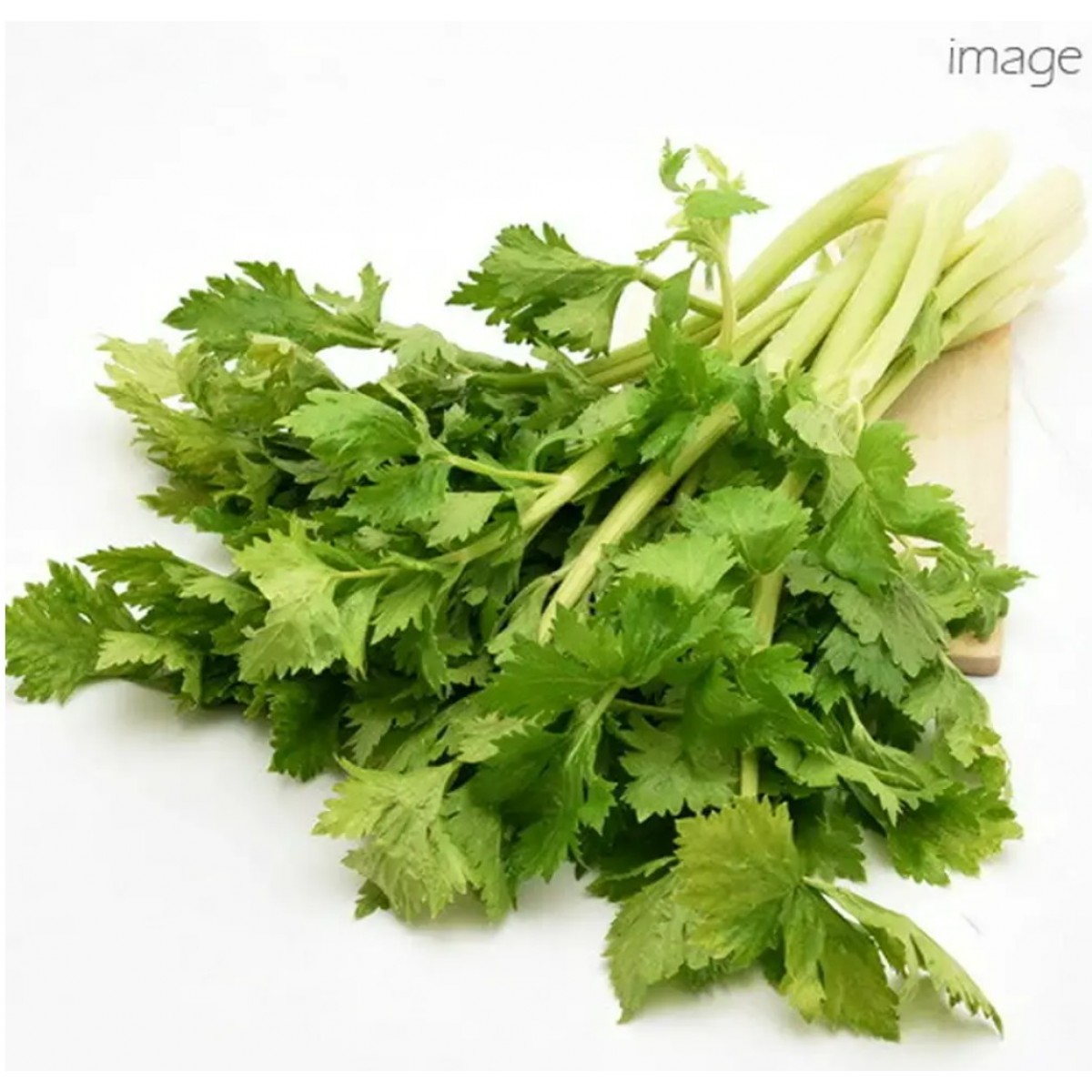 Leaf Corp 日本國產 西洋芹 20g 小動物零食 乾燥蔬菜 無添加 無色素