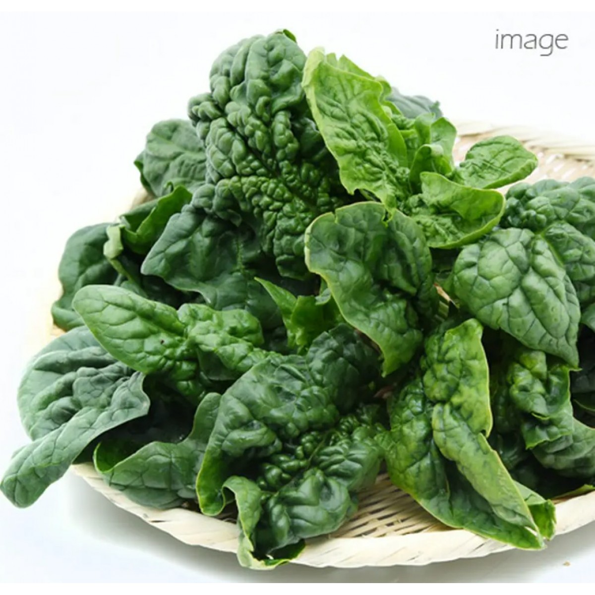 Leaf Corp 日本國產 皺葉菠菜 20g 小動物零食 無添加 無色素