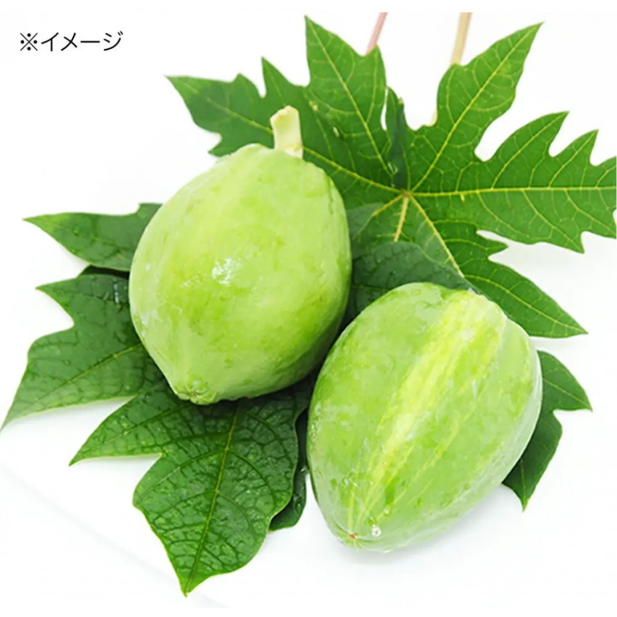 Leaf Corp 日本國產 木瓜嫩葉蔬菜沙律 30g 副食 無添加 無色素