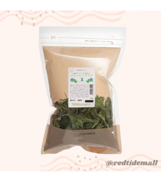 Leaf Corp 日本國產 木瓜嫩葉蔬菜沙律 30g 副食 無添加 無色素