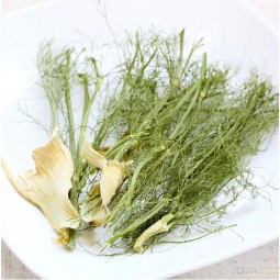 Leaf Corp 日本國產 茴香 10g 小動物零食 無添加 無色素