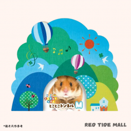 Marukan 倉鼠嘉年華粉藍色木板隧道玩具 M