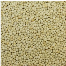 NPF Excel 白色飼料 乳酸菌鈣糧 120g 雀鳥補充品
