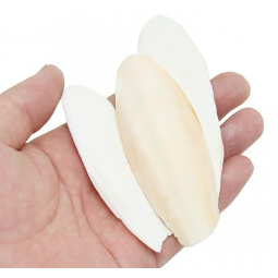 Qualis 鳥零食 墨魚骨 (小) 20g 