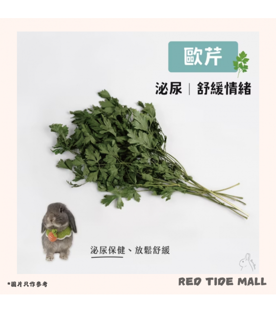 台灣BomBom尋寶趣 歐芹 泌尿 放鬆舒緩(體驗包)