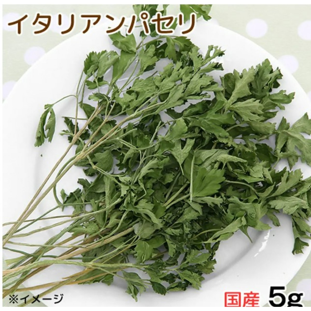 Leaf Corp 義大利香芹 5g 兔子倉鼠零食 無添加 無色素