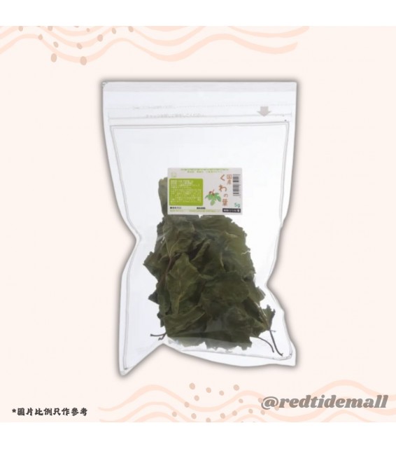Leaf Corp 桑葉 5g 小動物零食 無添加物 無色素