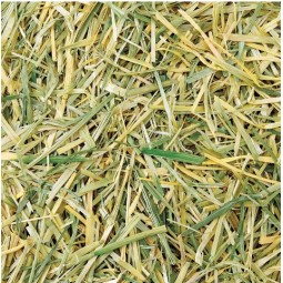 Marukan 幼嫩燕麥乾草 500g 兔兔天竺鼠