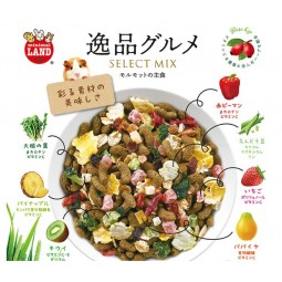 [預購PET] Marukan SELECT MIX 逸品 天竺鼠糧 500g
