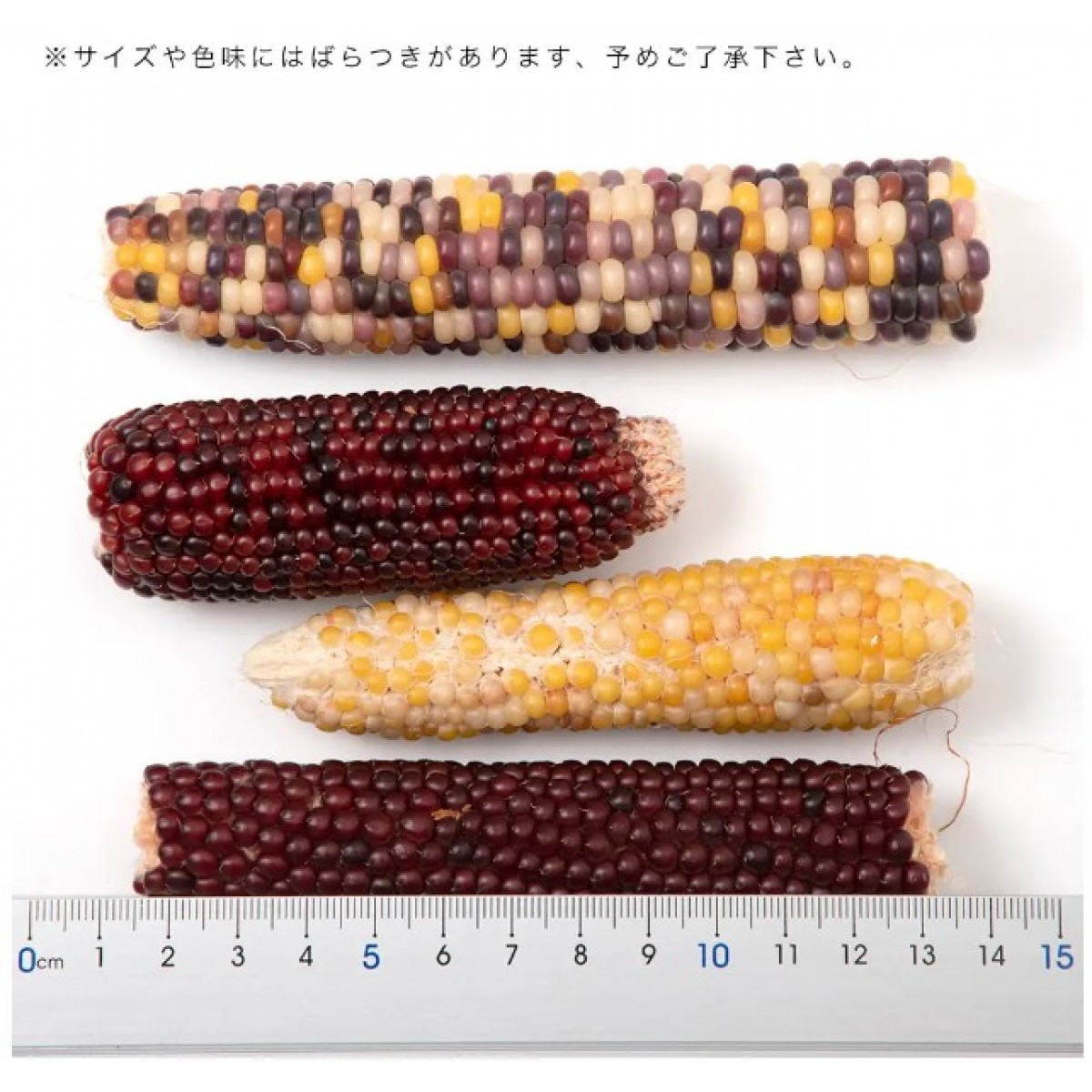NPF 小動物美味零食 粟米條 4枝