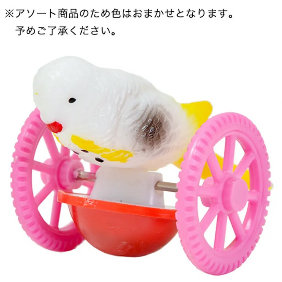 NPF 鳥玩具 咕嚕鳥不倒翁車車 顏色隨機
