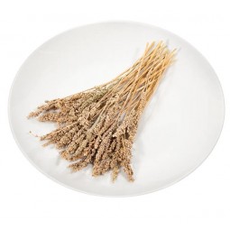 Kurose 黒瀬 長崎縣產 穂 80g (KTS-40)