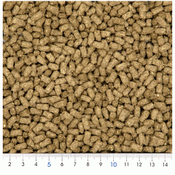 Hipet Pro Select 天竺鼠無麩質糧 350g