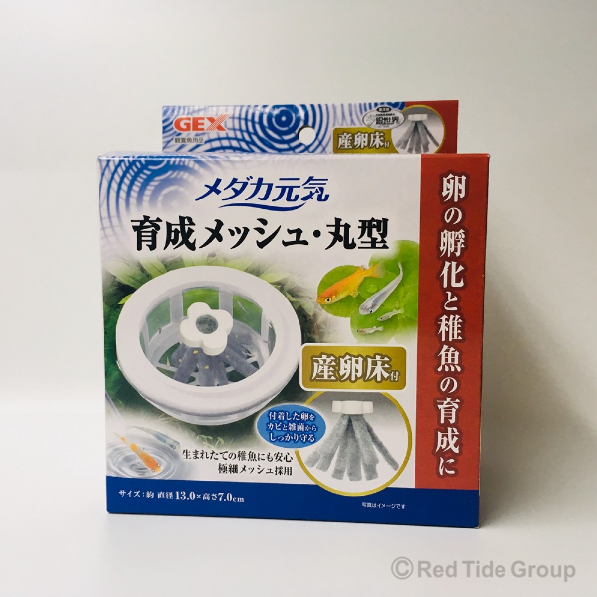 [預購AQUA] GEX Medaka 稻田魚圓形育成碗 附産卵床