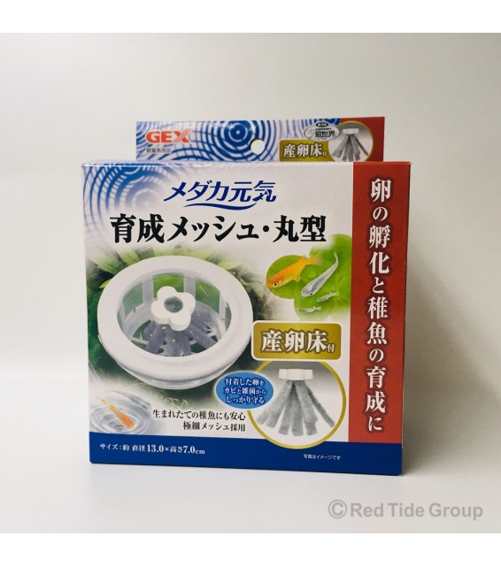 [預購AQUA] GEX Medaka 稻田魚圓形育成碗 附産卵床