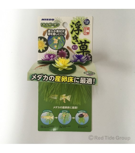 [預購AQUA] Nisso Medaka稻田魚用 產卵草 (3款小蓮浮草)