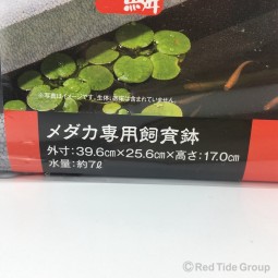 [預購AQUA] Sudo 日本首藤 Medaka泡沫魚缸 (中) 7L