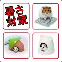 清涼用品