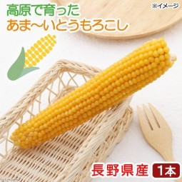 [預購PET] Leaf Corp 長野縣 黃金粟米 1個 小動物零食