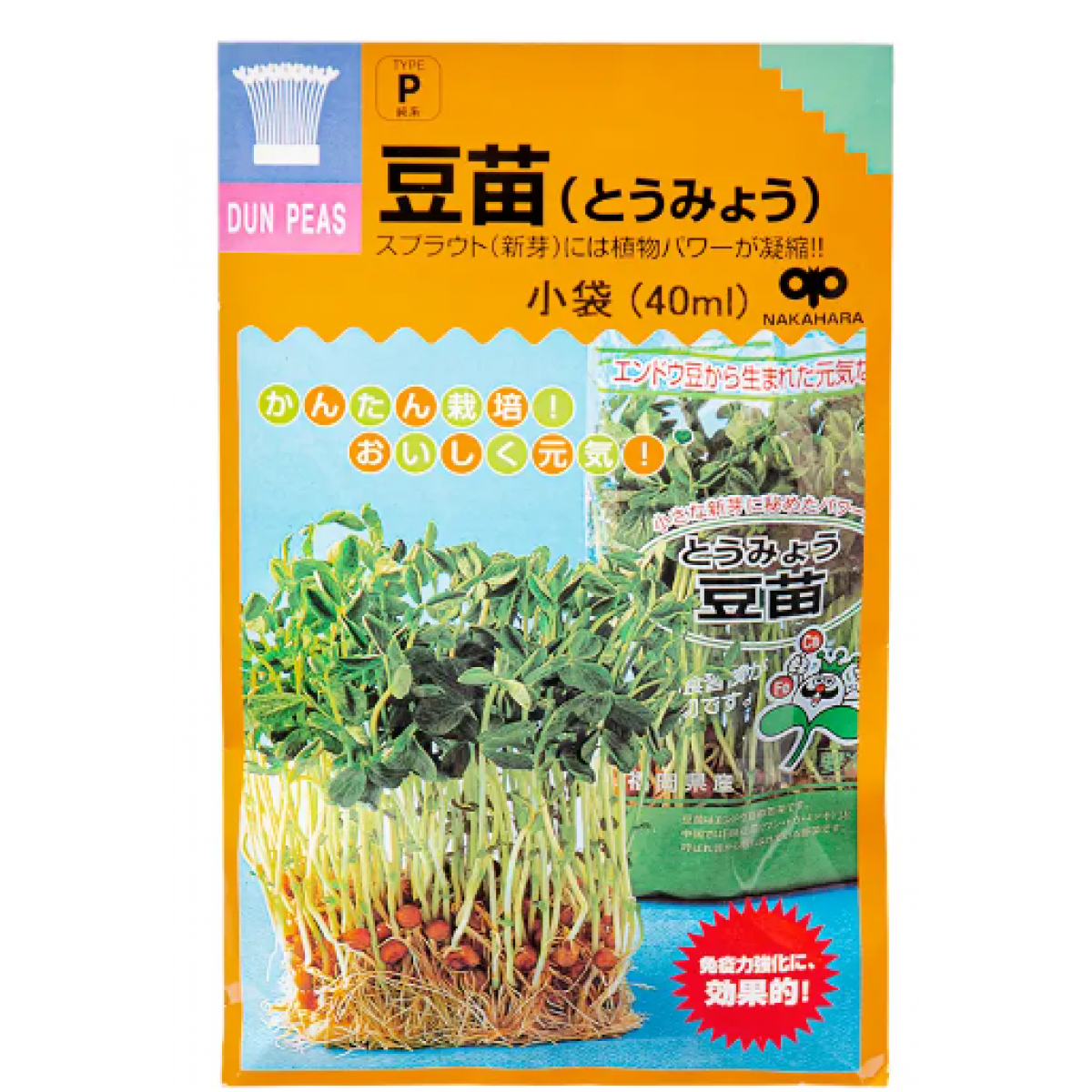 [預購PET] 豆苗種子 40ml