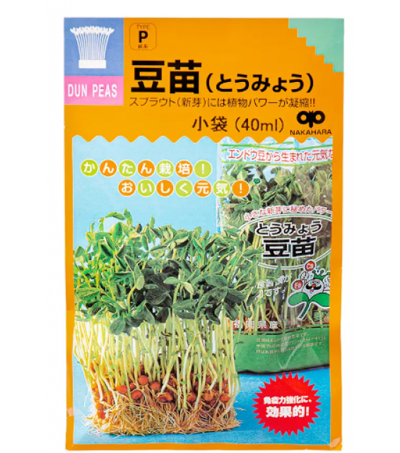 [預購PET] 豆苗種子 40ml