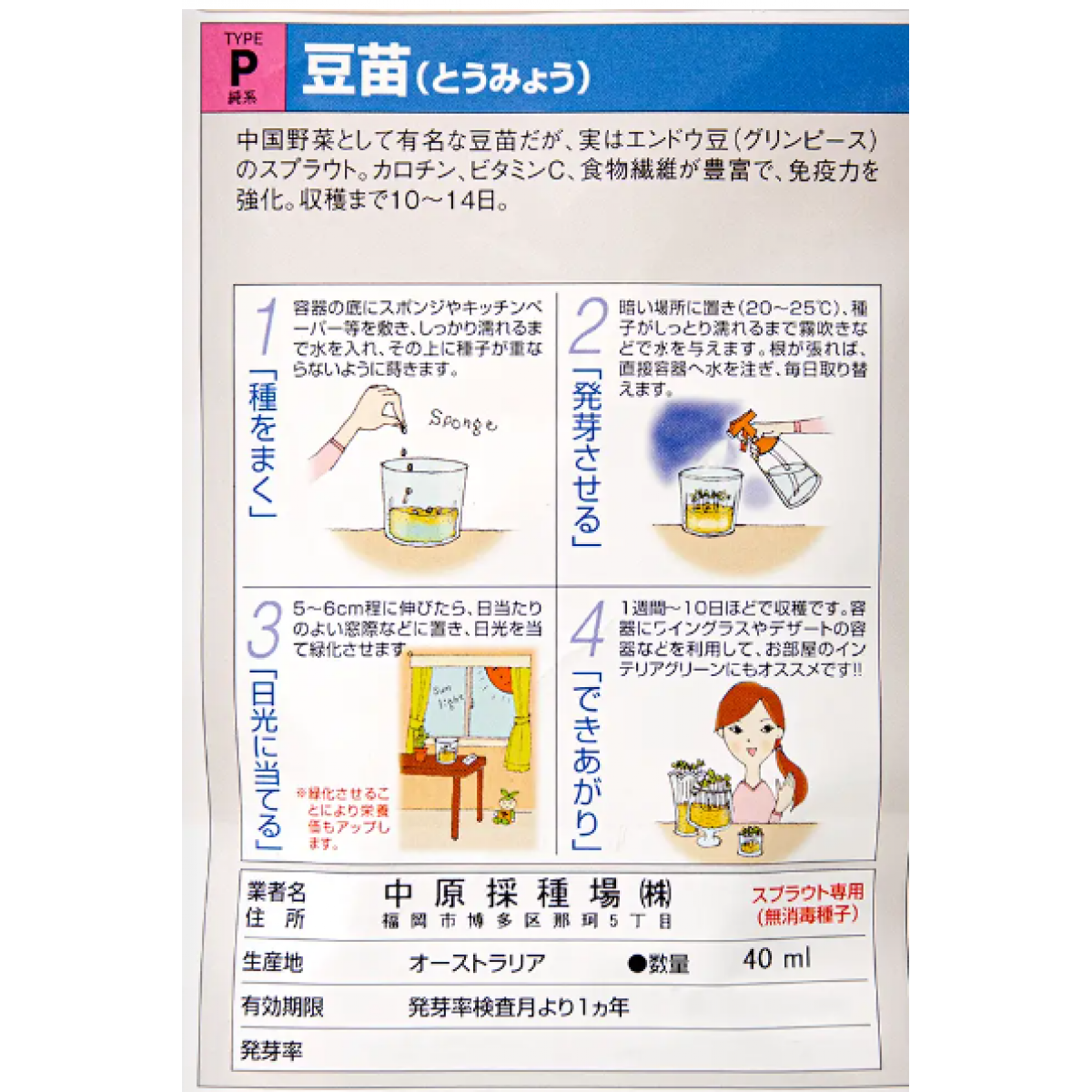 [預購PET] 豆苗種子 40ml