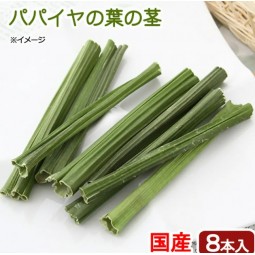 Leaf Corp 國產木瓜葉梗 8枝 磨牙玩具 無添加