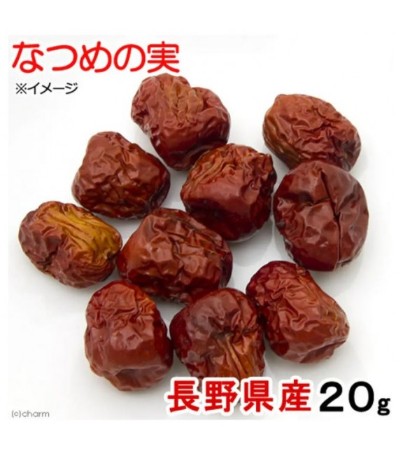 [預購PET] Leaf Corporation 長野縣產紅棗 20g 小動物零食 