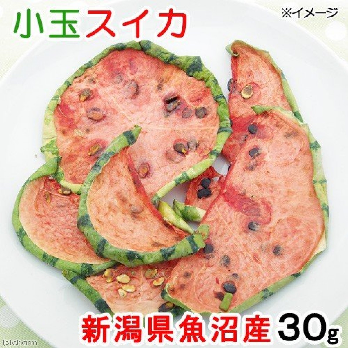 [預購PET] Leaf Corp 小玉西瓜片 30g 小動物零食 新潟縣魚沼產