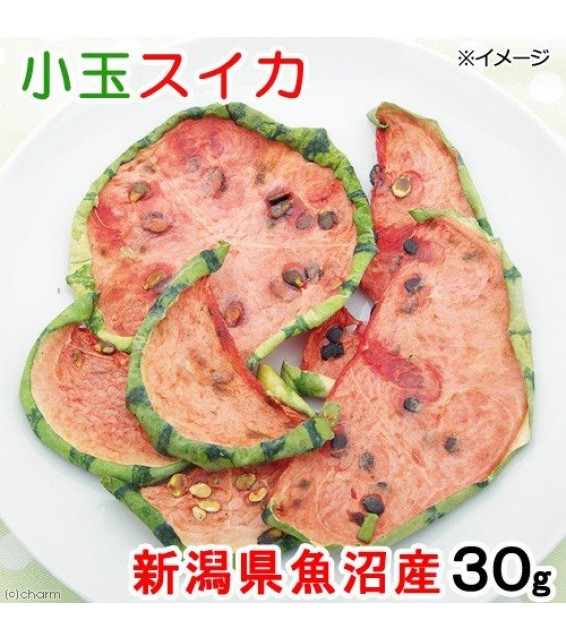 [預購PET] Leaf Corp 小玉西瓜片 30g 小動物零食 新潟縣魚沼產