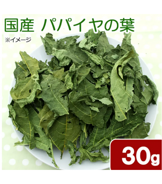 [預購PET] Leaf Corp 國產木瓜葉 30g 超值裝 無添加劑 無染色 