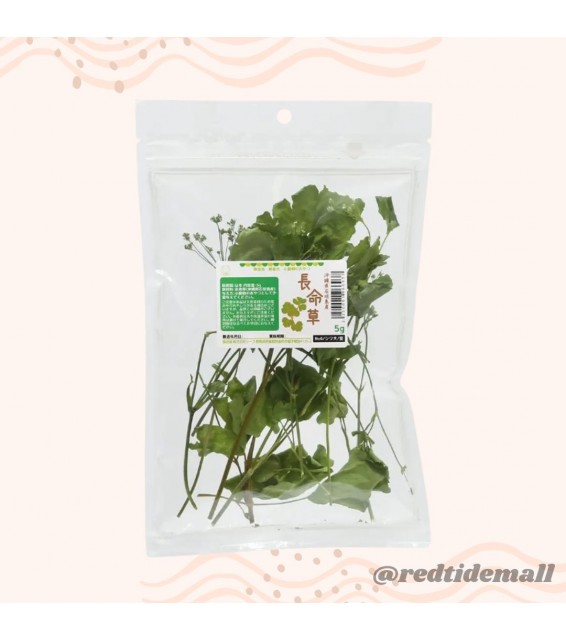 [預購PET] Leaf Corp 沖繩縣石垣島長命草 5g 小動物零食 無添加 無色素