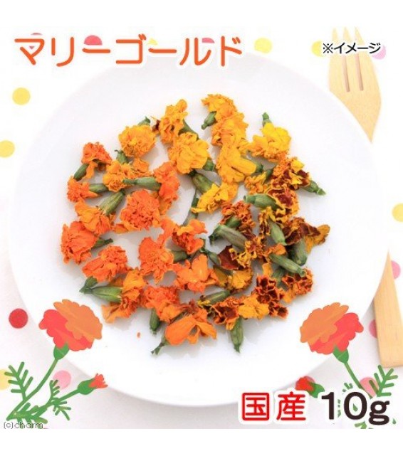 [預購PET] Leaf Corp 國產金盞花乾 10g 小動物零食 無著色 無添加劑 