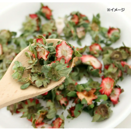 Leaf Corp 國產草莓莖 10g 小動物零食 無添加無色素