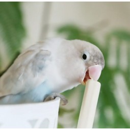 Leaf Corp 鳥玩具 麻幹 10枝 