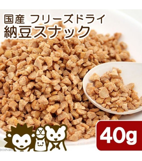 [預購PET] Leaf Corp 納豆凍乾 零食40g