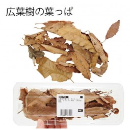 [預購BEETLE] Leaf Corp 硬木樹葉 250ml 藏身用品