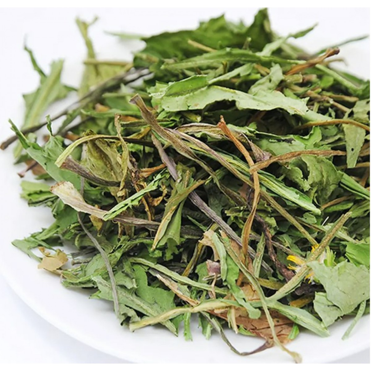 [預購PET] Leaf Corp 長野縣蒲公英葉莖切碎 20g 小動物點心 無添加 無色素