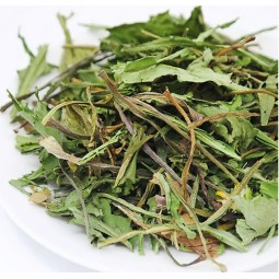 [預購PET] Leaf Corp 長野縣蒲公英葉莖切碎 20g 小動物點心 無添加 無色素