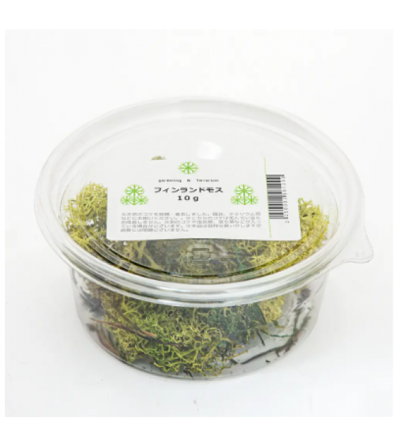Leaf Corp 芬蘭乾苔蘚 10g