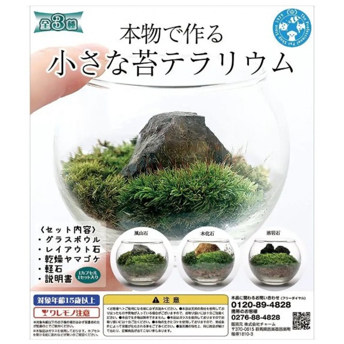 Leaf Corp 扭蛋 水族小苔蘚造景  (佈局石款式隨機 )