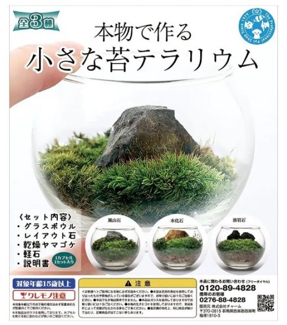 Leaf Corp 扭蛋 水族小苔蘚造景  (佈局石款式隨機 )