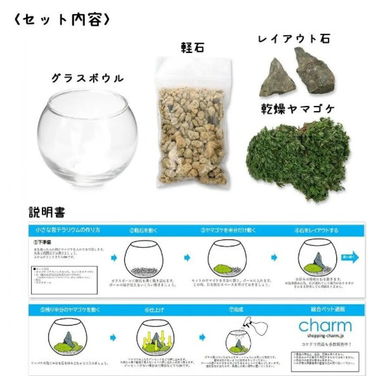 Leaf Corp 扭蛋 水族小苔蘚造景  (佈局石款式隨機 )