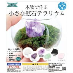 [預購AQUA] Leaf Corp 小型礦石玻璃做景