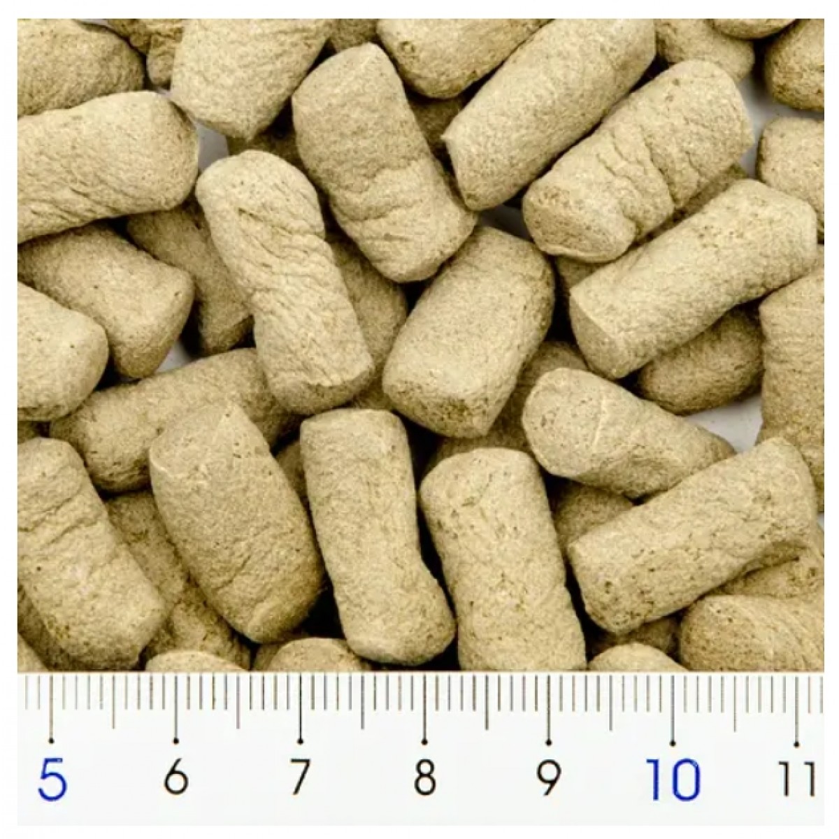 Tetra 日本水龜糧 200g (超大粒)