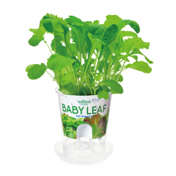 [預購PLANT] Leafresh 智能自家種植盆栽 Baby Leaf