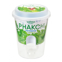 Leafresh 智能自家種植盆栽 芫茜