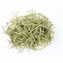 [預購PET] Arata 特選提摩西草 1kg