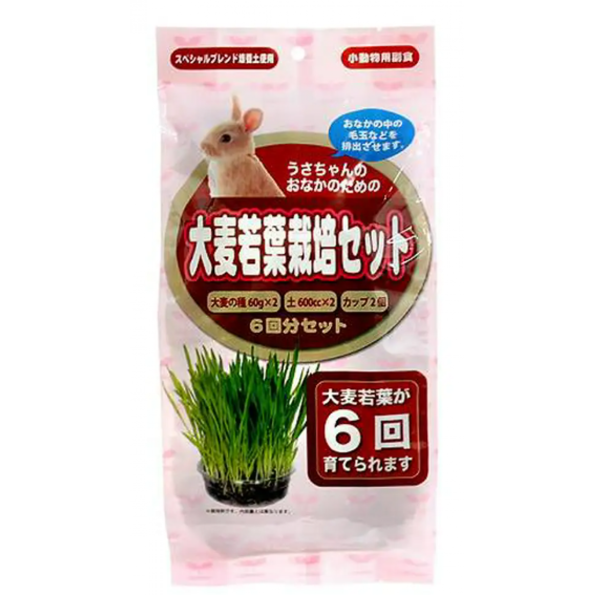 Arata 大麥若葉栽培套裝 6次 